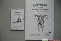 Antyrama, antyramy, zdjcie, producent, czstochowa