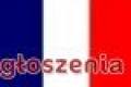 francuski D�browa G�rnicza skutecznie