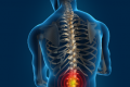 Szukam do wsppracy lekarza neurologii ortopedii