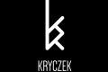 Projektowanie graficzne i tworzenie stron internetowych (wordpress)